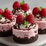 Decadently Delicious Mini Raspberry Mousse Cakes 7 decadently delicious mini raspberry mousse cakes 2025 09 21 130253 150x150 1