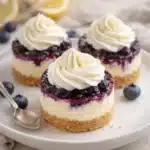 Healthy Mini Lemon Blueberry Cheesecakes 5 healthy mini lemon blueberry cheesecakes 2026 03 27 233940 1