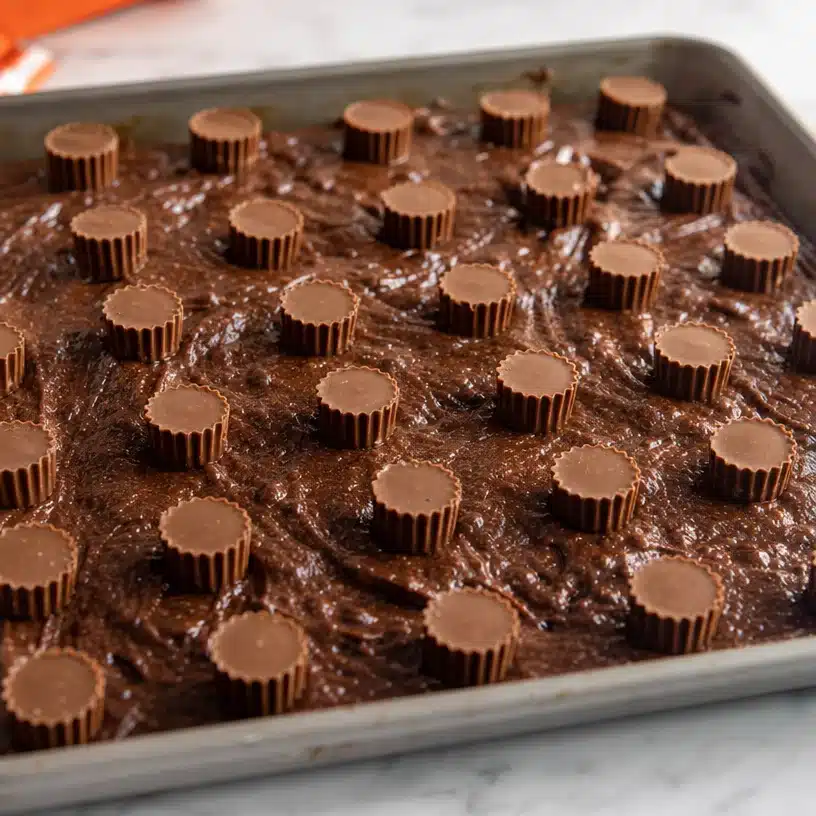 Peanut Butter Cup Brownie Bites 4 Peanut Butter Cup Brownie Bites